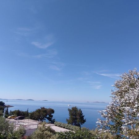 Amazing Villa Galeb In Муртер Номер фото
